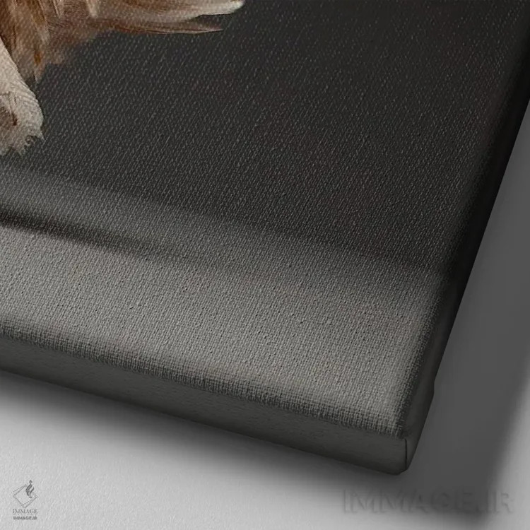 تابلو باربو واترمیل (نژاد مرغ) اثر چیکن (اثر هنری با لحن شوخ) - نمای نزدیک بافت بوم