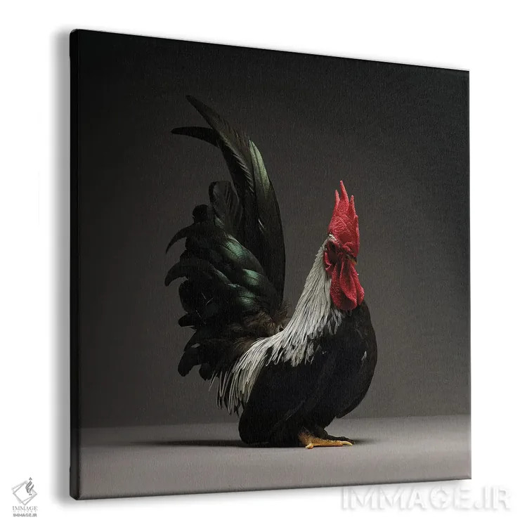 تابلو چابو (نژاد مرغ) اثر چیکن (اثر هنری با لحن شوخ) - نمای پرسپکتیو محصول