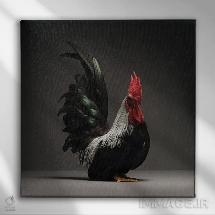 تابلو چابو (نژاد مرغ) اثر چیکن (اثر هنری با لحن شوخ) - نمای روبهرو روی دیوار