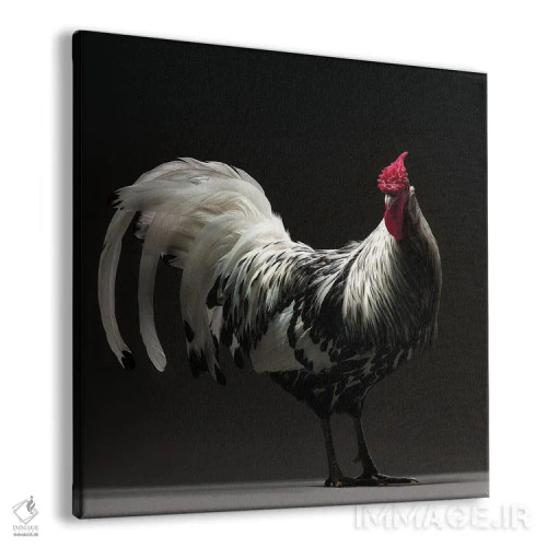 تابلو هامبورگ (نژاد مرغ) اثر چیکن (اثر هنری با لحن شوخ) - نمای پرسپکتیو محصول