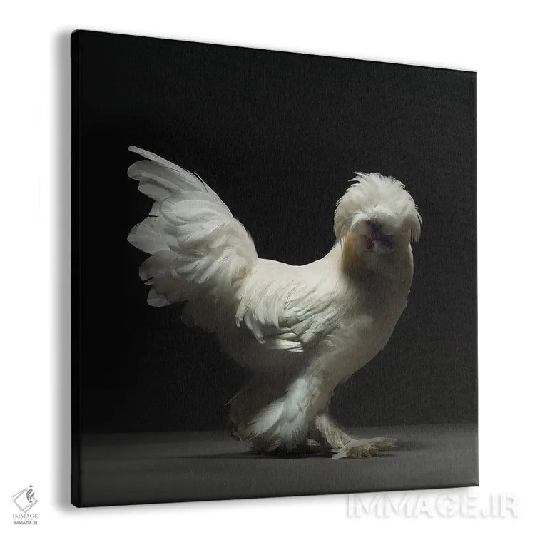 تابلو سلطانو (نژاد مرغ) اثر چیکن (اثر هنری با لحن شوخ) - نمای پرسپکتیو محصول