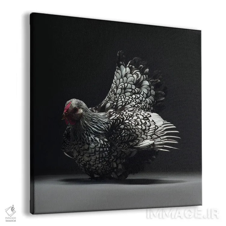 تابلو ویاندوت (نژاد مرغ) اثر چیکن (اثر هنری با لحن شوخ) - نمای پرسپکتیو محصول