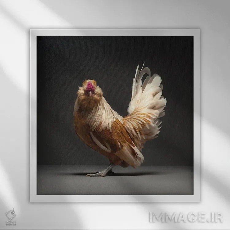 تابلو باربو واترمیل (نژاد مرغ) اثر چیکن (اثر هنری با لحن شوخ) - نمای قابدار سفید