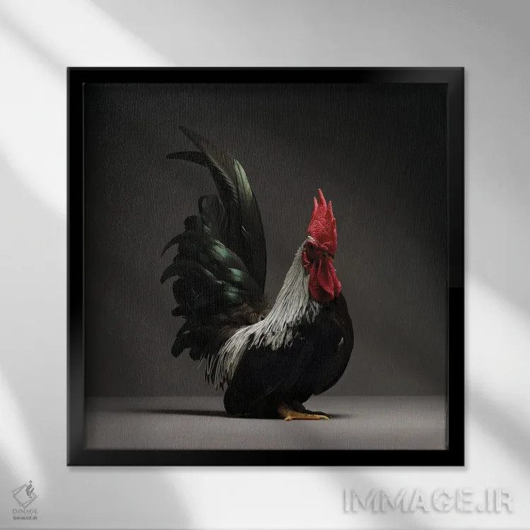 تابلو چابو (نژاد مرغ) اثر چیکن (اثر هنری با لحن شوخ) - نمای قابدار مشکی