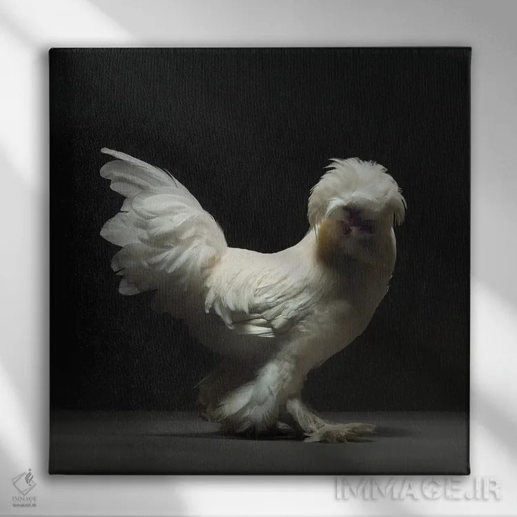 تابلو سلطانو (نژاد مرغ) اثر چیکن (اثر هنری با لحن شوخ) - نمای روبهرو روی دیوار