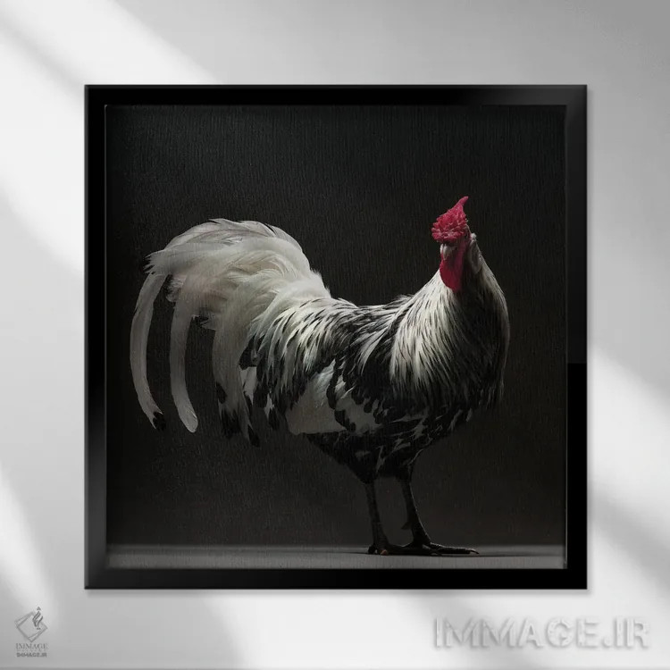 تابلو هامبورگ (نژاد مرغ) اثر چیکن (اثر هنری با لحن شوخ) - نمای قابدار مشکی