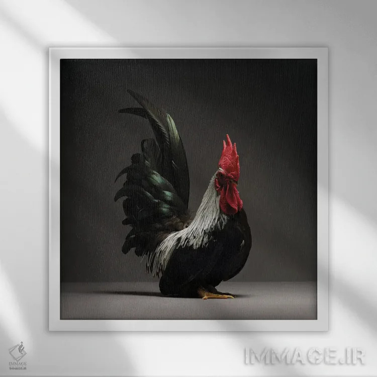 تابلو چابو (نژاد مرغ) اثر چیکن (اثر هنری با لحن شوخ) - نمای قابدار سفید