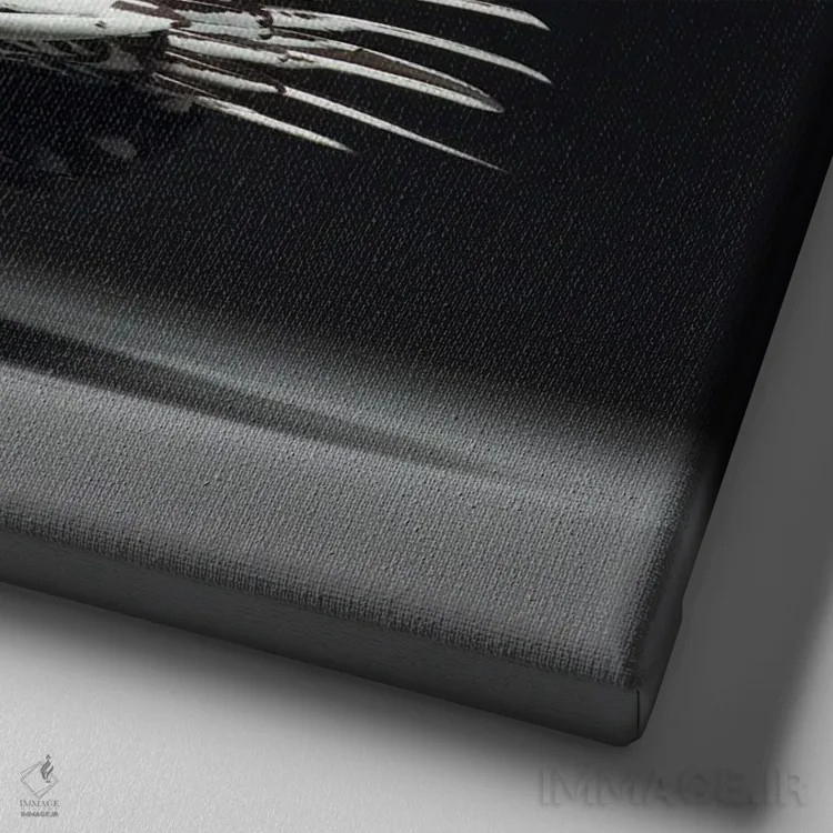 تابلو ویاندوت (نژاد مرغ) اثر چیکن (اثر هنری با لحن شوخ) - نمای نزدیک بافت بوم