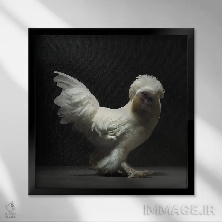 تابلو سلطانو (نژاد مرغ) اثر چیکن (اثر هنری با لحن شوخ) - نمای قابدار مشکی