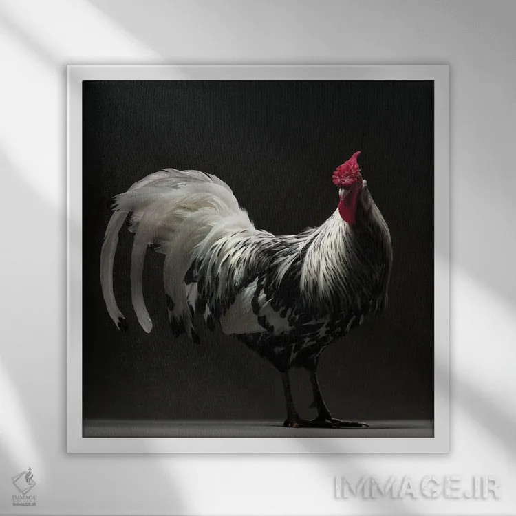 تابلو هامبورگ (نژاد مرغ) اثر چیکن (اثر هنری با لحن شوخ) - نمای قابدار سفید