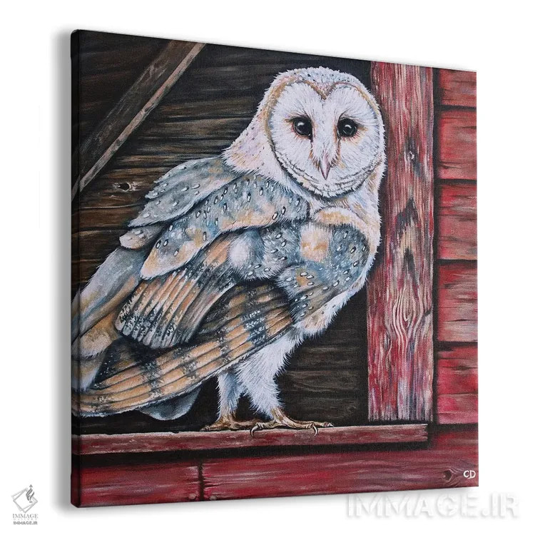 تابلو جغد طویله اثر سیندی دودس - نمای پرسپکتیو محصول