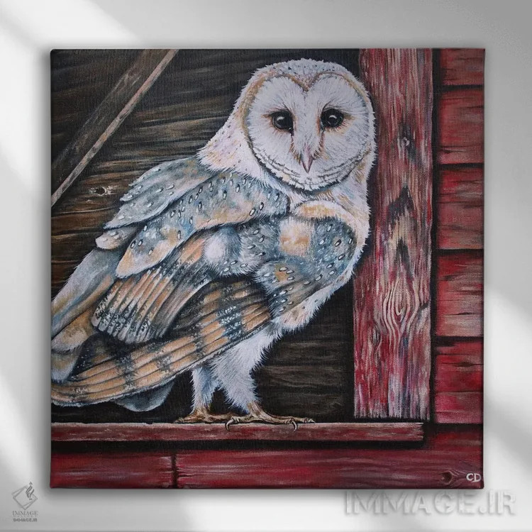 تابلو جغد طویله اثر سیندی دودس - نمای روبهرو روی دیوار