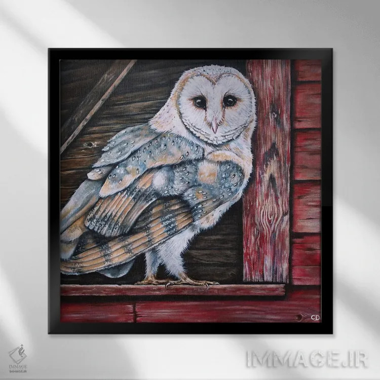 تابلو جغد طویله اثر سیندی دودس - نمای قابدار مشکی