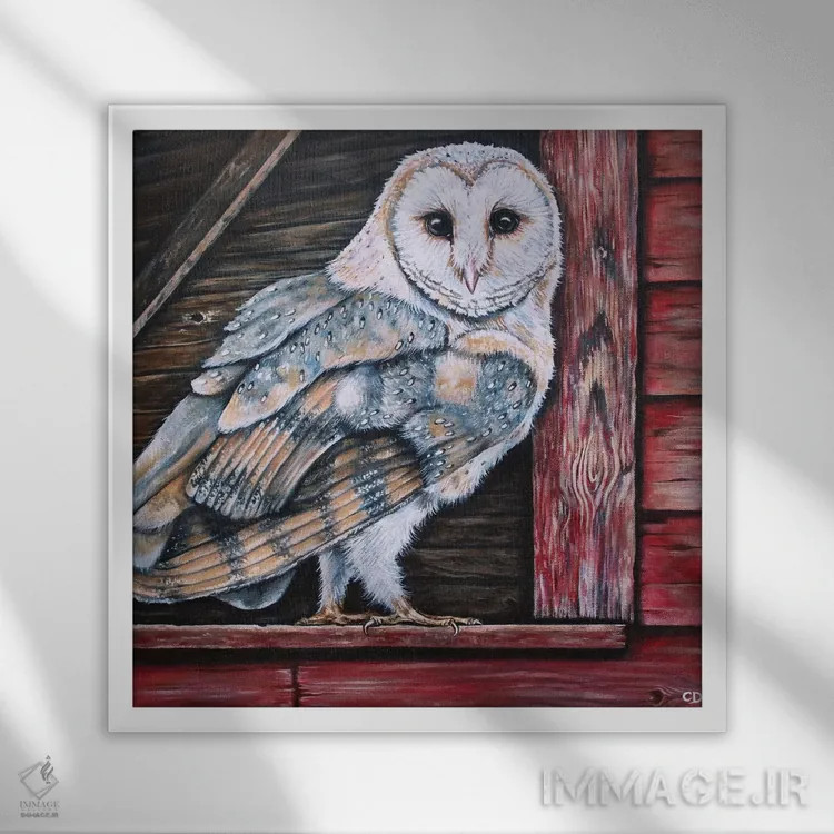 تابلو جغد طویله اثر سیندی دودس - نمای قابدار سفید