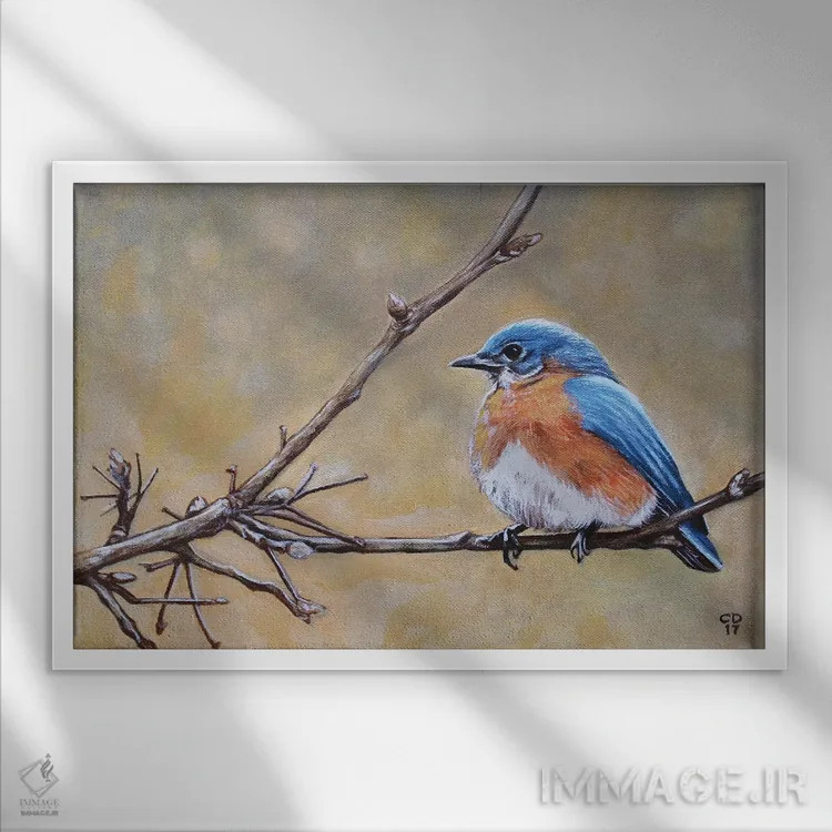 تابلو مرغ آبی اثر سیندی دودس - نمای قابدار سفید