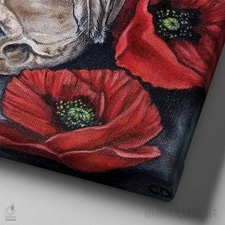 تابلو جمجمه با کبوتر و خشخاش اثر سیندی دودس - نمای نزدیک بافت بوم