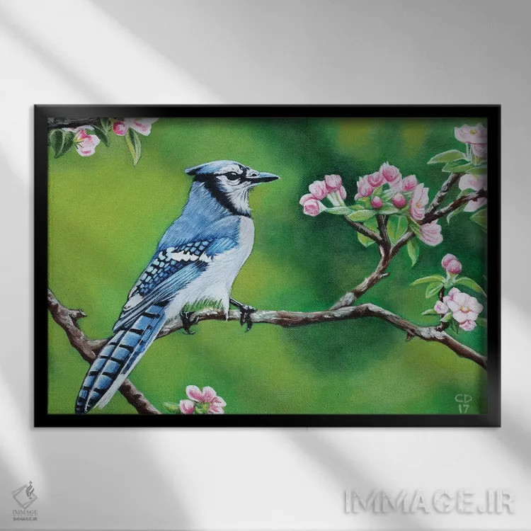 تابلو جیجاق آبی در بهار اثر سیندی دودس - نمای قابدار مشکی