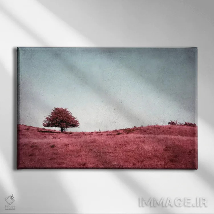 تابلو درختچه (آلمانی) اثر کلودیا دروسرت - نمای روبهرو روی دیوار