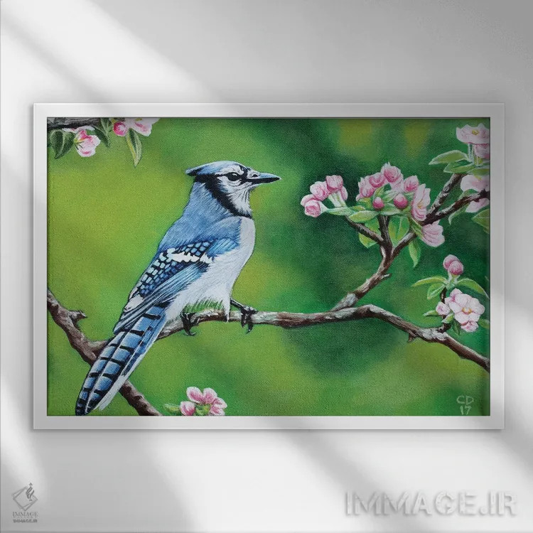 تابلو جیجاق آبی در بهار اثر سیندی دودس - نمای قابدار سفید