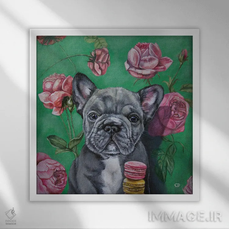 تابلو فرنچی (نام سگ بولداگ فرانسوی) اثر سیندی دودس - نمای قابدار سفید