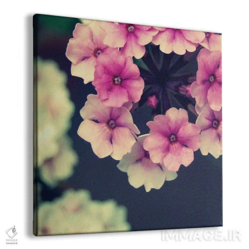 تابلو گل کوچک (آلمانی) اثر کلودیا دروسرت - نمای پرسپکتیو محصول