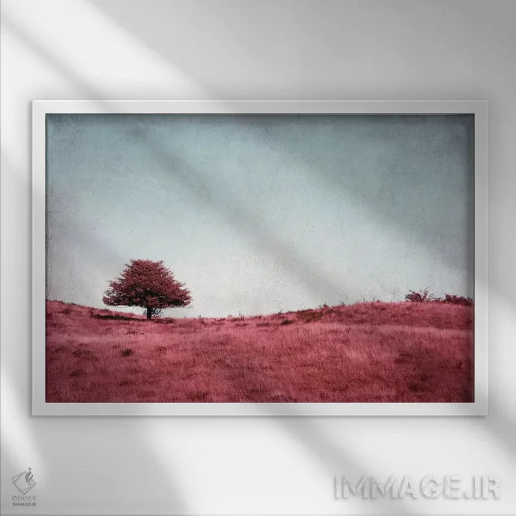 تابلو درختچه (آلمانی) اثر کلودیا دروسرت - نمای قابدار سفید