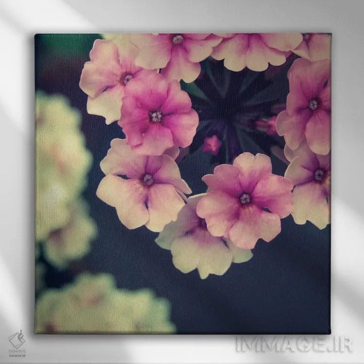 تابلو گل کوچک (آلمانی) اثر کلودیا دروسرت - نمای روبهرو روی دیوار