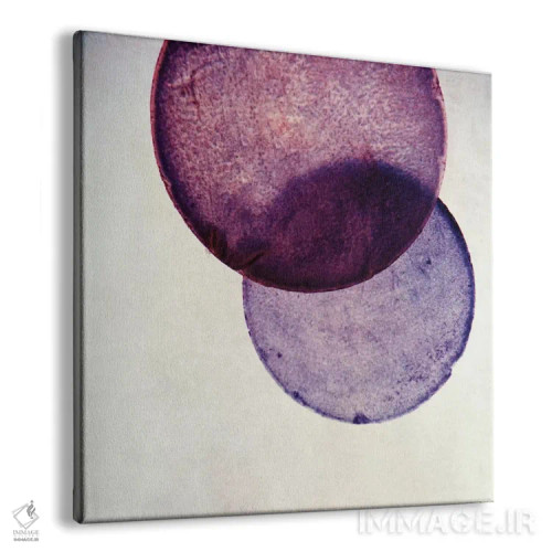 تابلو کاپیز V (نام صدف یا پنجره فیلیپینی) اثر کلودیا دروسرت - نمای پرسپکتیو محصول