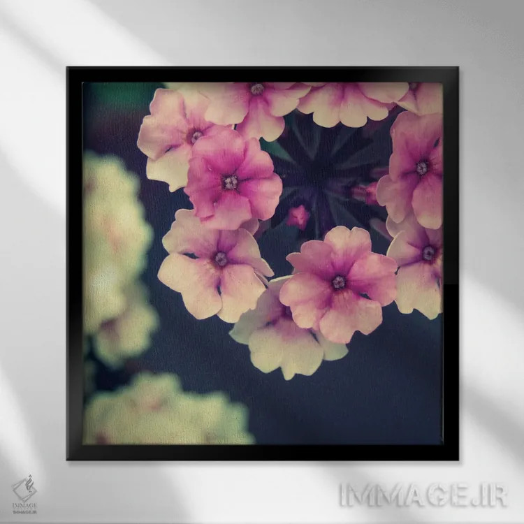 تابلو گل کوچک (آلمانی) اثر کلودیا دروسرت - نمای قابدار مشکی