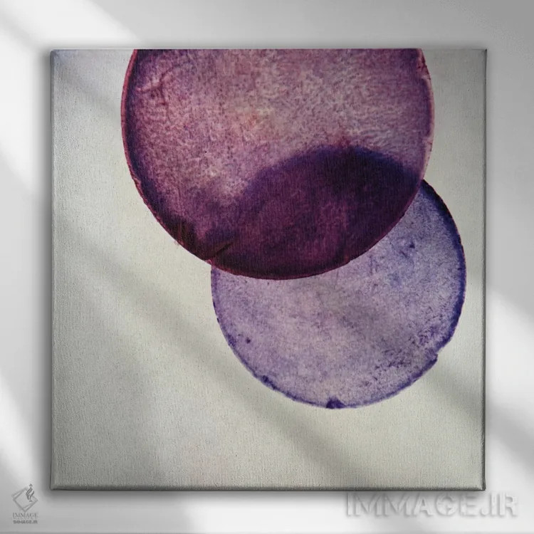 تابلو کاپیز V (نام صدف یا پنجره فیلیپینی) اثر کلودیا دروسرت - نمای روبهرو روی دیوار