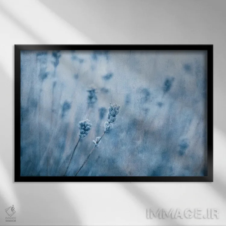 تابلو اسطوخودوس I اثر کلودیا دروسرت - نمای قابدار مشکی