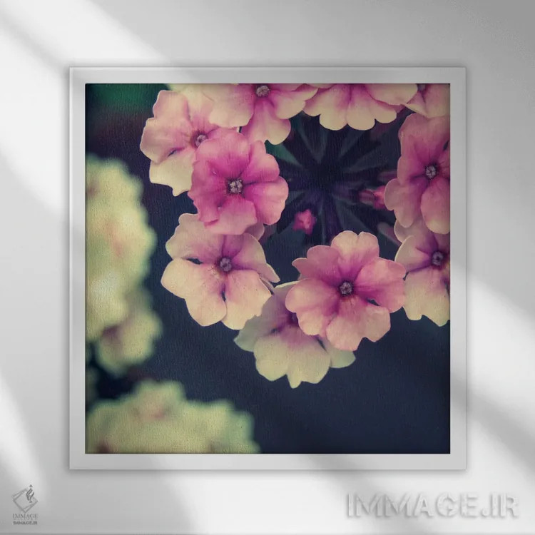 تابلو گل کوچک (آلمانی) اثر کلودیا دروسرت - نمای قابدار سفید