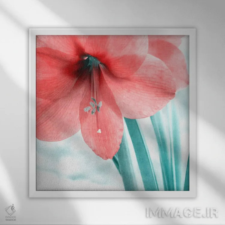 تابلو ظریف اثر کلودیا دروسرت - نمای قابدار سفید