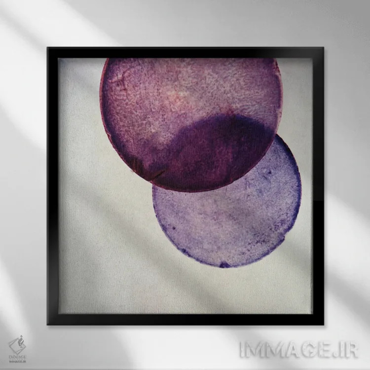 تابلو کاپیز V (نام صدف یا پنجره فیلیپینی) اثر کلودیا دروسرت - نمای قابدار مشکی