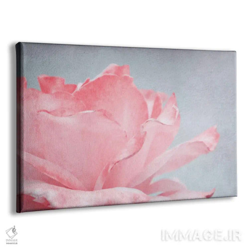 تابلو رز صورتی اثر کلودیا دروسرت - نمای پرسپکتیو محصول