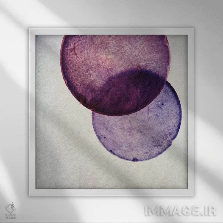 تابلو کاپیز V (نام صدف یا پنجره فیلیپینی) اثر کلودیا دروسرت - نمای قابدار سفید