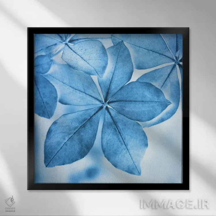 تابلو امیدوار اثر کلودیا دروسرت - نمای قابدار مشکی