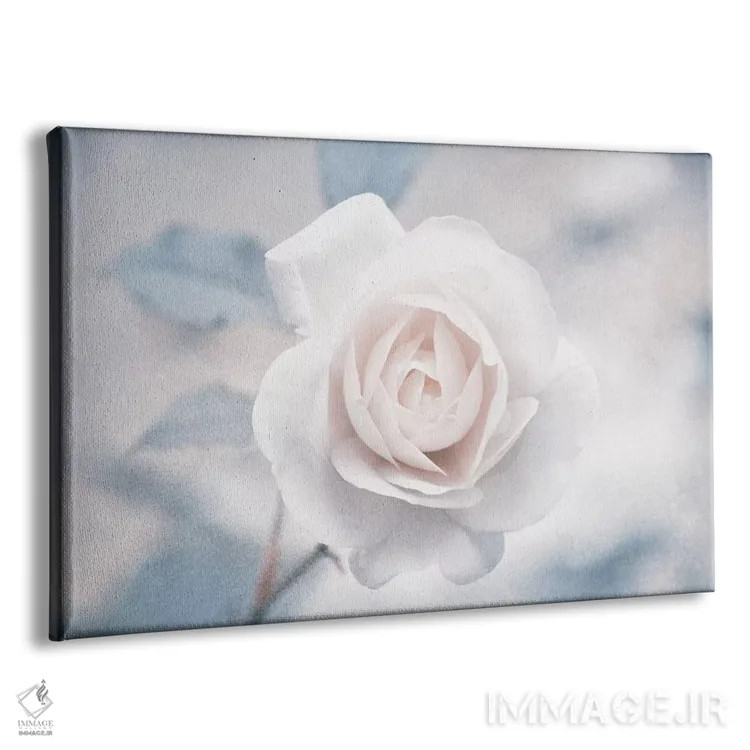 تابلو رز سفید I اثر کلودیا دروسرت - نمای پرسپکتیو محصول