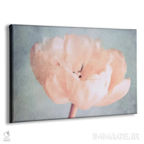 تابلو لحظات خاموش اثر کلودیا دروسرت - نمای پرسپکتیو محصول