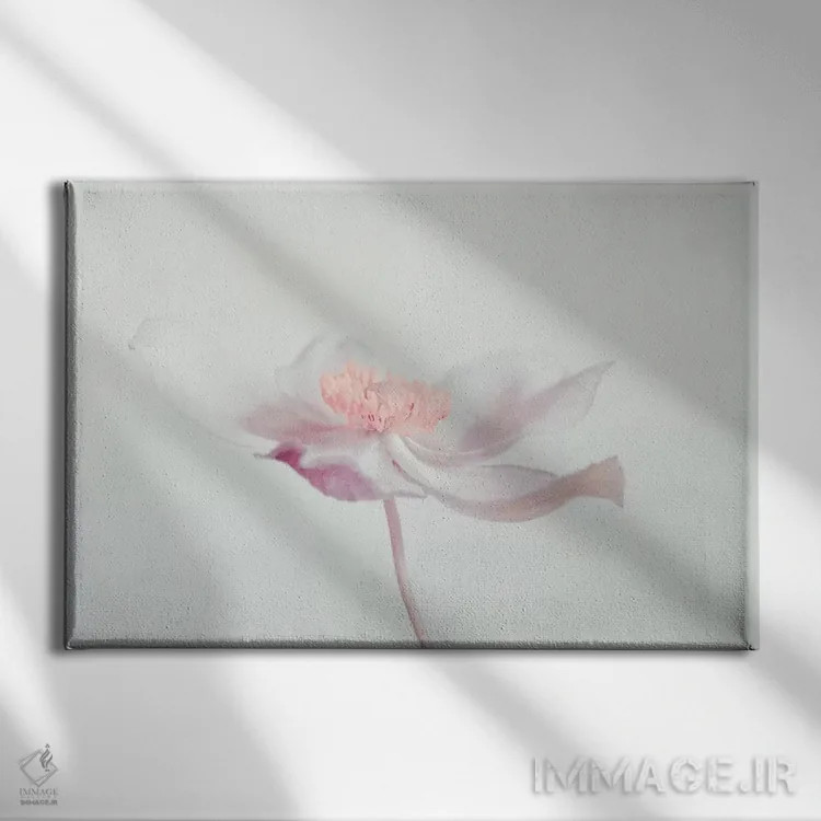 تابلو گل (فرانسوی) اثر کلودیا دروسرت - نمای روبهرو روی دیوار