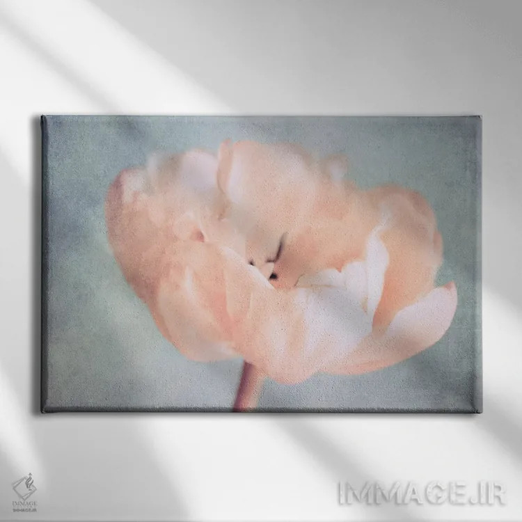 تابلو لحظات خاموش اثر کلودیا دروسرت - نمای روبهرو روی دیوار