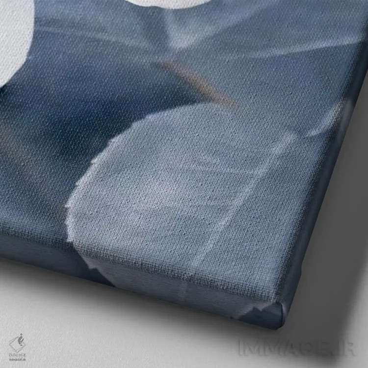 تابلو رز سفید II اثر کلودیا دروسرت - نمای نزدیک بافت بوم