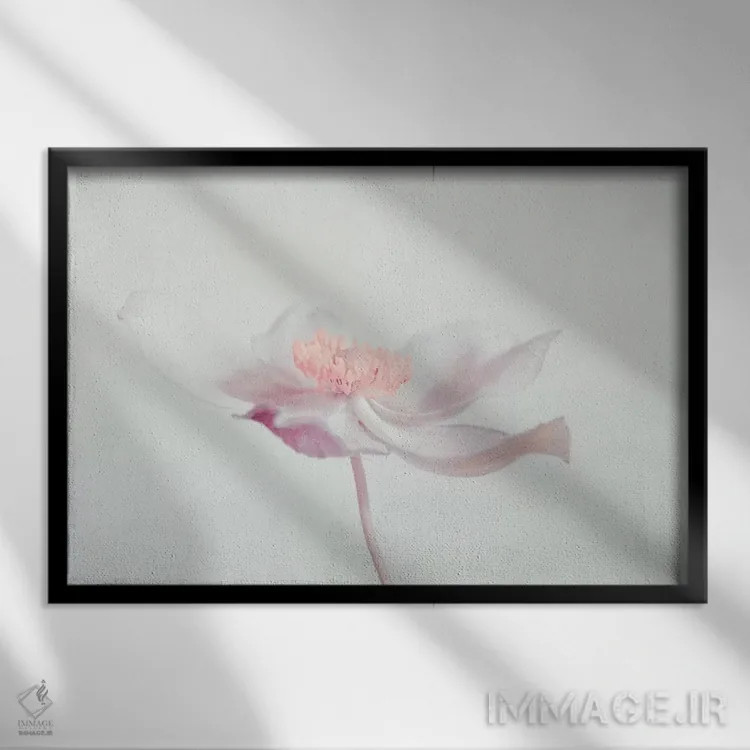 تابلو گل (فرانسوی) اثر کلودیا دروسرت - نمای قابدار مشکی