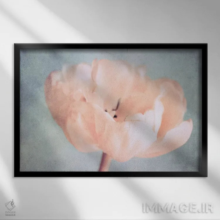 تابلو لحظات خاموش اثر کلودیا دروسرت - نمای قابدار مشکی