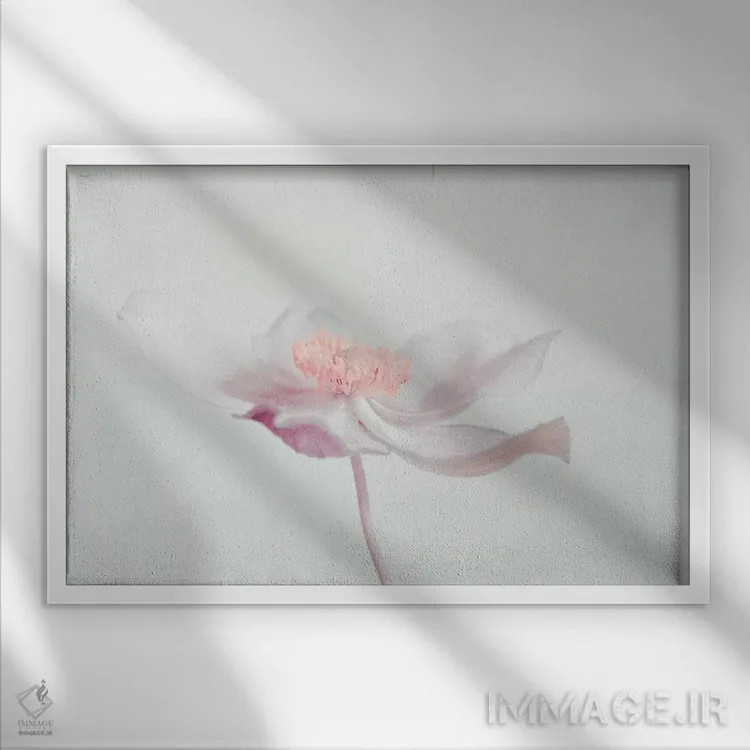 تابلو گل (فرانسوی) اثر کلودیا دروسرت - نمای قابدار سفید