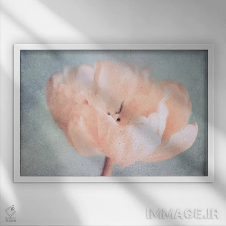 تابلو لحظات خاموش اثر کلودیا دروسرت - نمای قابدار سفید