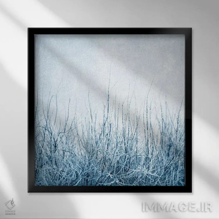 تابلو زمستان اثر کلودیا دروسرت - نمای قابدار مشکی