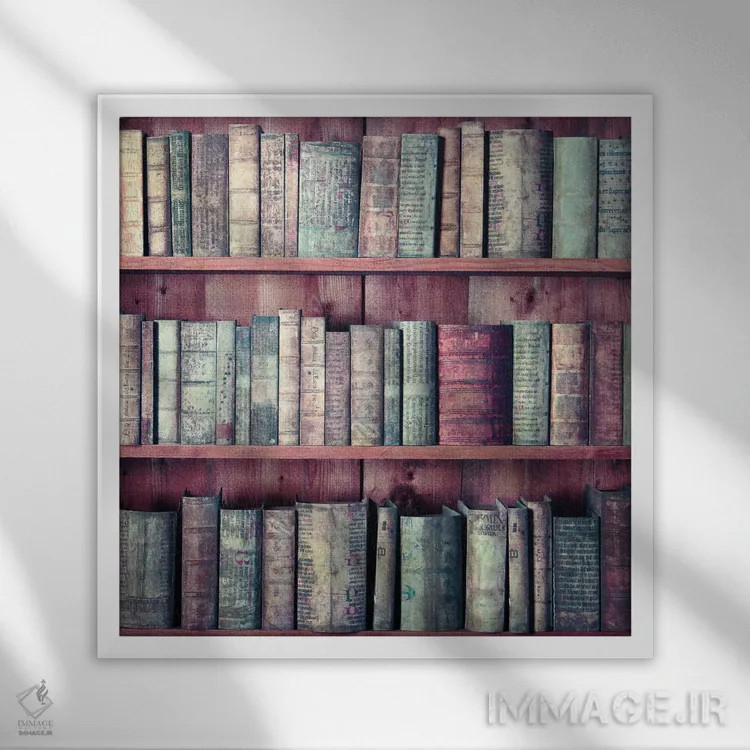 تابلو کتابها اثر کلودیا دروسرت - نمای قابدار سفید