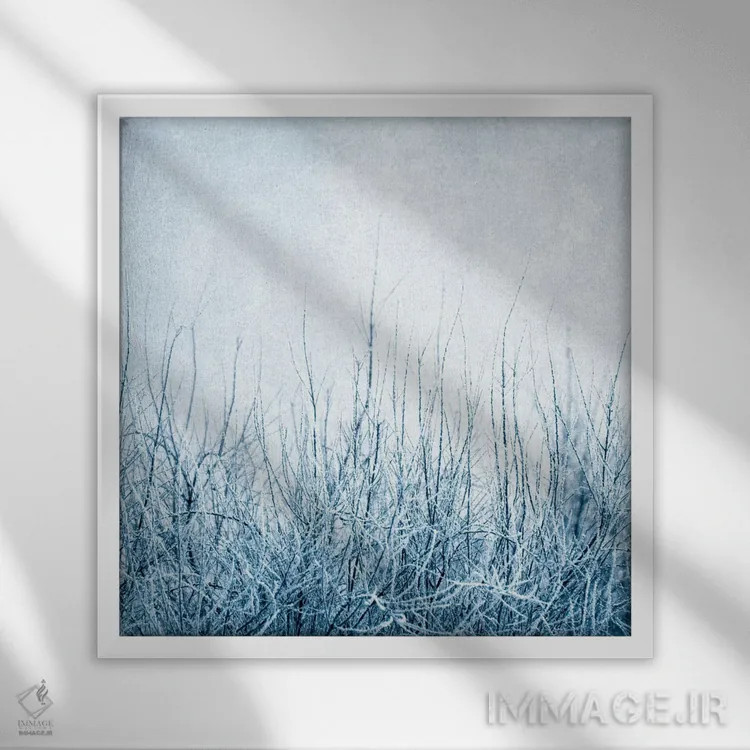 تابلو زمستان اثر کلودیا دروسرت - نمای قابدار سفید