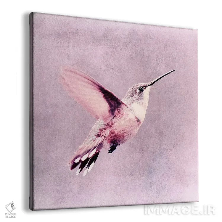 تابلو مرغ مگسخوار (آلمانی) اثر کلودیا دروسرت - نمای پرسپکتیو محصول